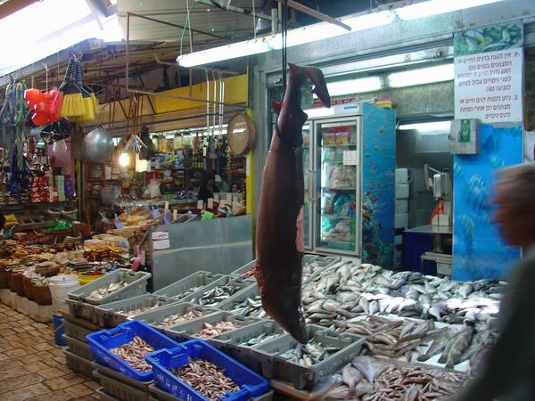 акулы Средиземного моря на рынке Акко