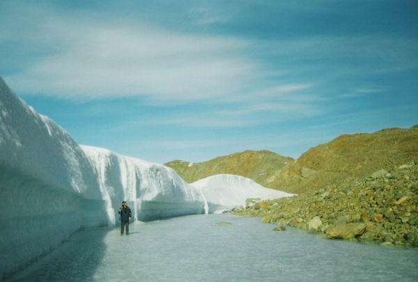 шельфовый ледник Ларсена