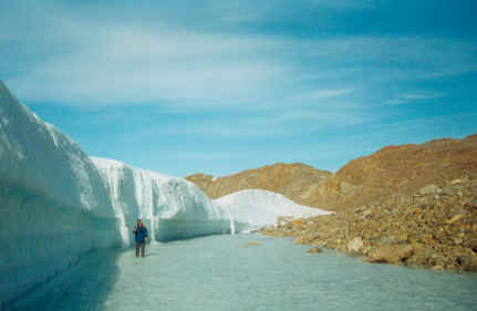 Шельфовый ледник 